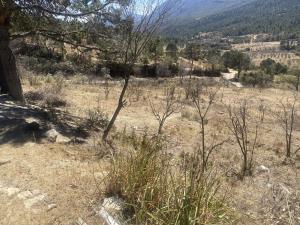 Terreno en venta en Jame, Arteaga — foto 2 de 11