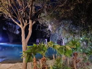 Terreno en venta en Tacubaya, Parras — foto 2 de 9