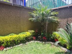 Casa en venta en El Parque de Coyoacan, Coyoacán — foto 3 de 30