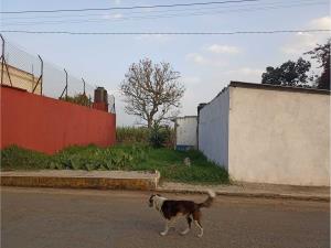 Terreno en venta en Los Lienzos, Fortín — foto 2 de 5