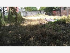 Terreno en venta en Progreso, Veracruz — foto 3 de 18