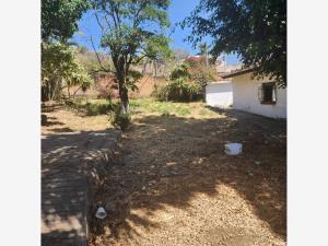Casa en renta en Vista Hermosa, Cuernavaca — foto 3 de 18