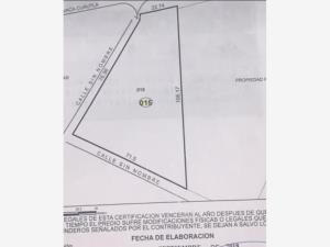 Terreno en venta en El Caudillo del Sur, Yautepec — foto 2 de 7