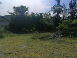 Terreno en venta en El Caudillo del Sur, Yautepec — foto 3 de 7