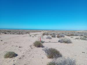Terreno en venta en Cerro Prieto, Puerto Peñasco — foto 2 de 9