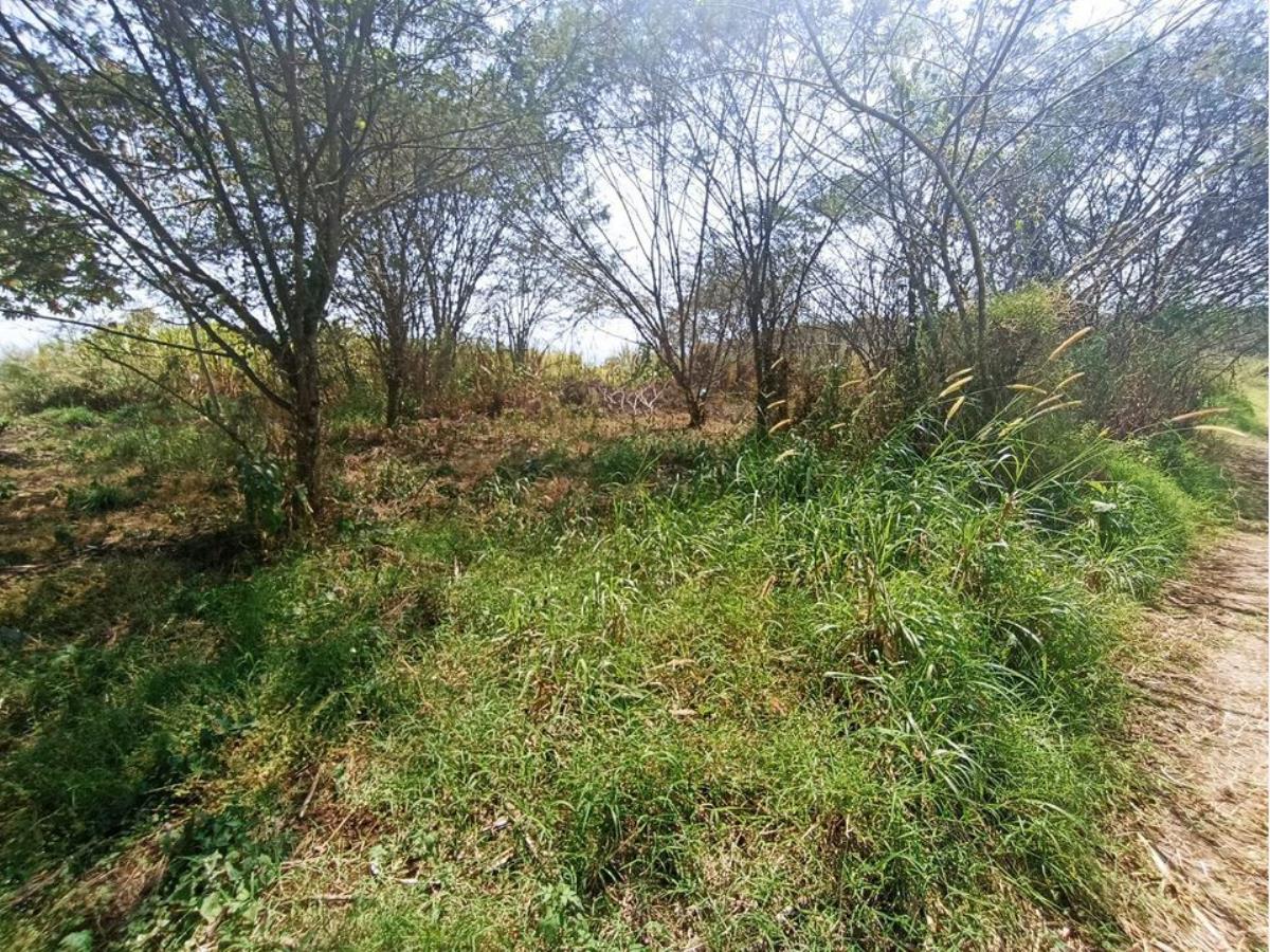 Terreno en venta en Tlacotengo, Fortín — foto 1 de 9