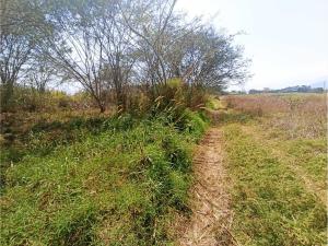 Terreno en venta en Tlacotengo, Fortín — foto 2 de 9