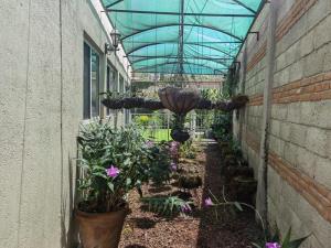 Casa en venta en Zerezotla, San Pedro Cholula — foto 3 de 16