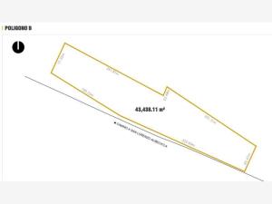 Terreno en venta en San Lorenzo Almecatla, Cuautlancingo, Puebla