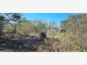 Terreno en venta en Chichi Suarez, Mérida — foto 3 de 4