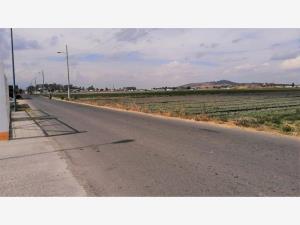 Terreno en venta en San Gregorio Atzompa, San Gregorio Atzompa — foto 2 de 3