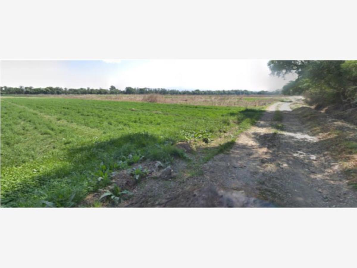 Terreno en venta en Xicohtzingo, Xicohtzinco — foto 1 de 2