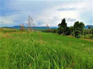 Terreno en venta en Atlixco Centro, Atlixco — foto 3 de 3