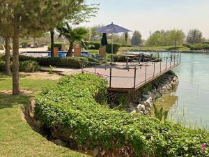 Terreno en venta en Altozano la Nueva Laguna, Gómez Palacio — foto 2 de 11