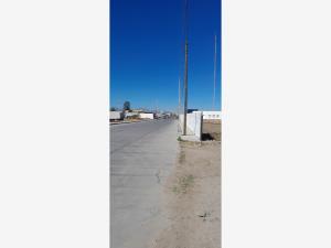 Terreno en venta en San Rafael, Apan — foto 3 de 10