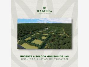 Terreno en venta en Chicxulub, Chicxulub Pueblo — foto 3 de 7
