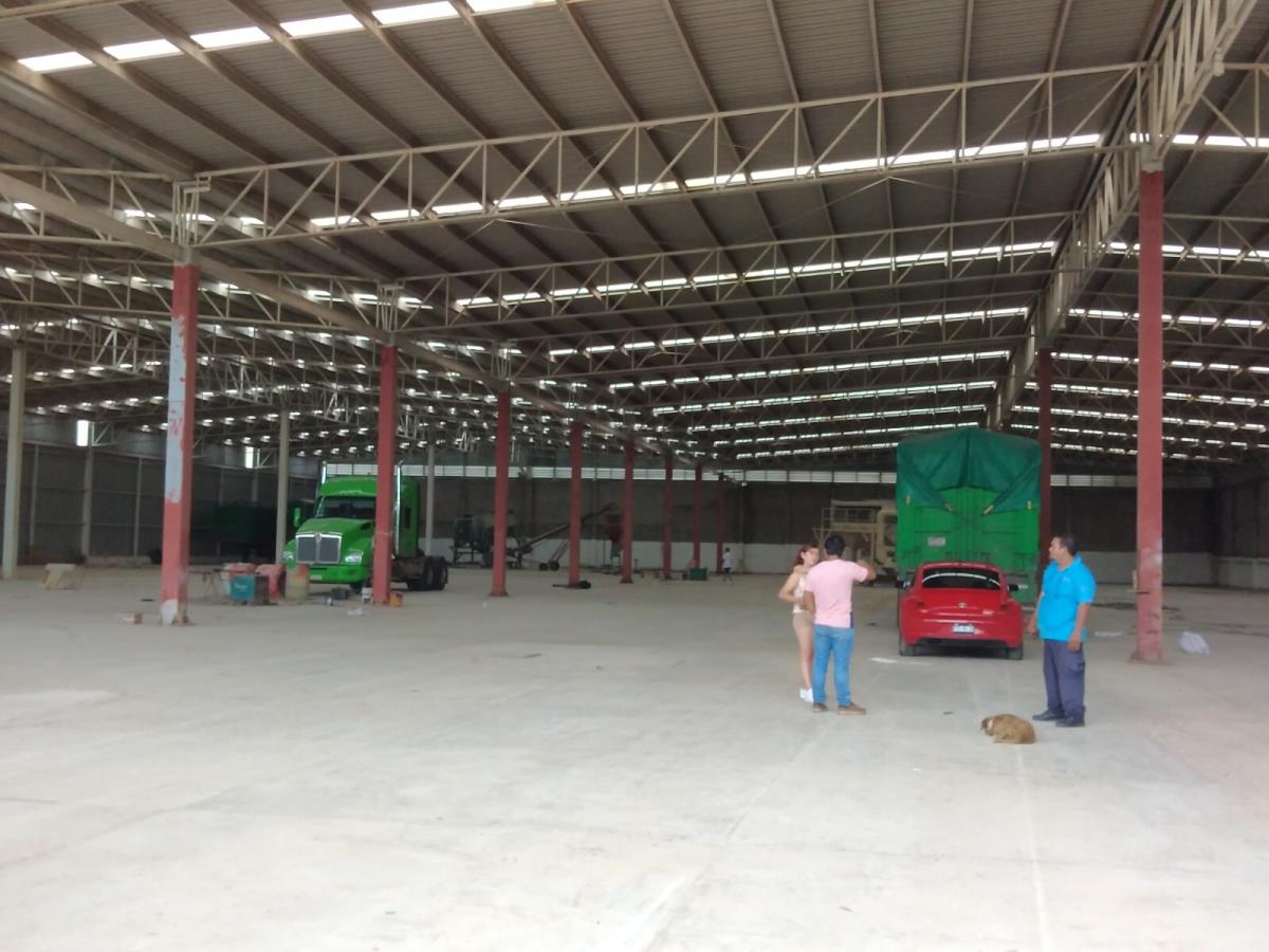 Bodega en renta en Cayaco, Acapulco de Juárez — foto 1 de 9
