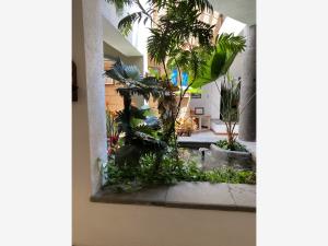 Casa en venta en Palmira Tinguindin, Cuernavaca — foto 2 de 18