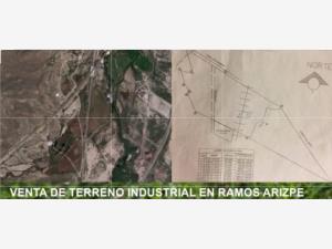 Terreno en venta en Parque Industrial Santa María, Ramos Arizpe — foto 3 de 17