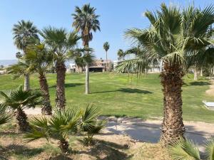 Terreno en venta en Montebello, Torreón — foto 3 de 5