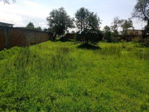 Terreno en venta en San Pablo Autopan, Toluca — foto 3 de 10