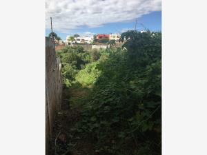 Terreno en venta en Real de Tetela, Cuernavaca — foto 2 de 10