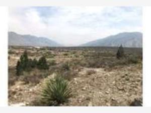 Terreno en venta en Ejidal, Arteaga — foto 2 de 5
