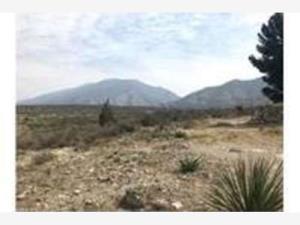 Terreno en venta en Ejidal, Arteaga — foto 3 de 5