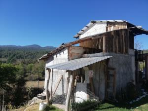 Finca-Rancho en venta en Tamanguío, Acuitzio — foto 3 de 40