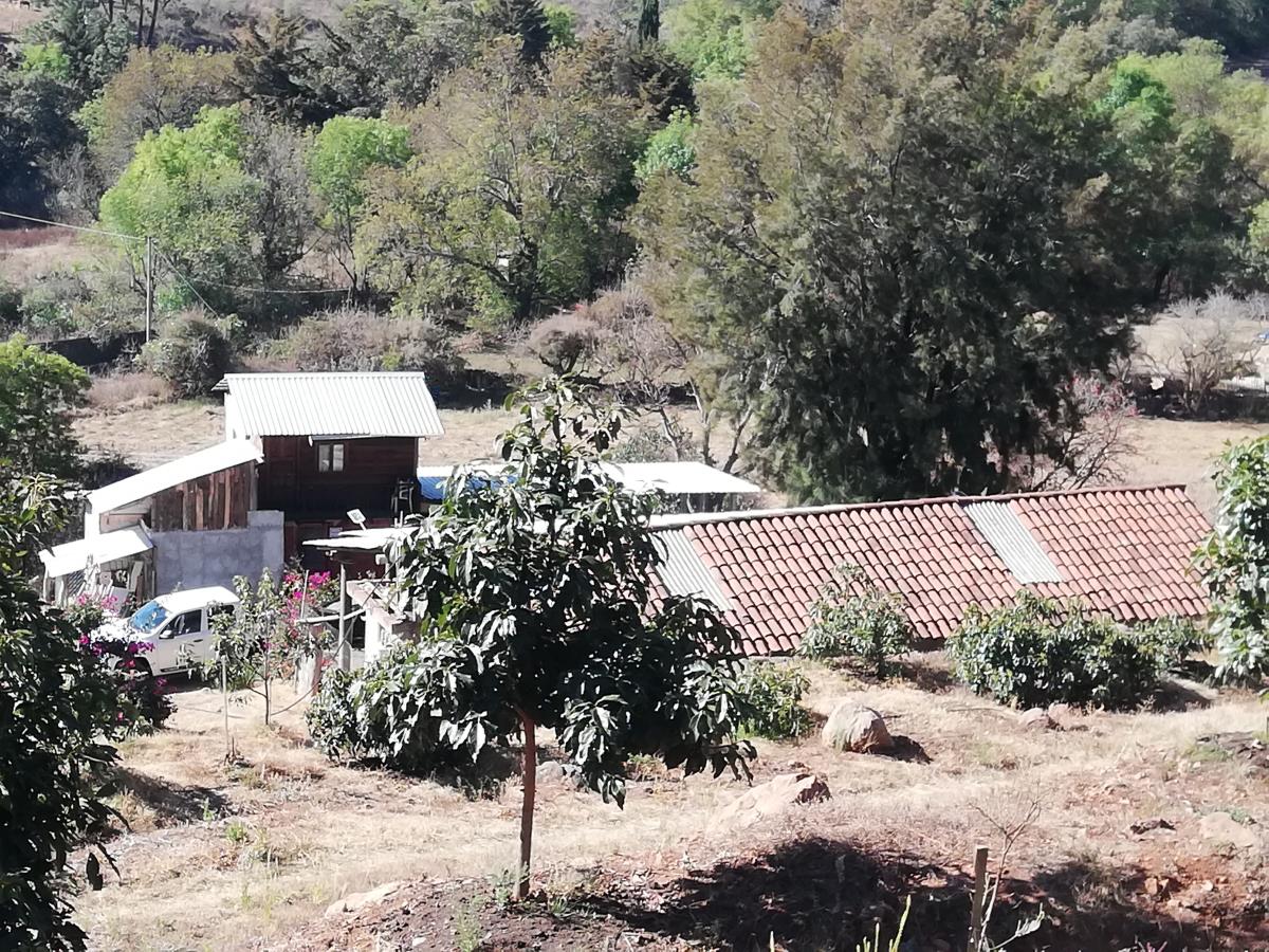 Finca-Rancho en venta en Tamanguío, Acuitzio — foto 1 de 40