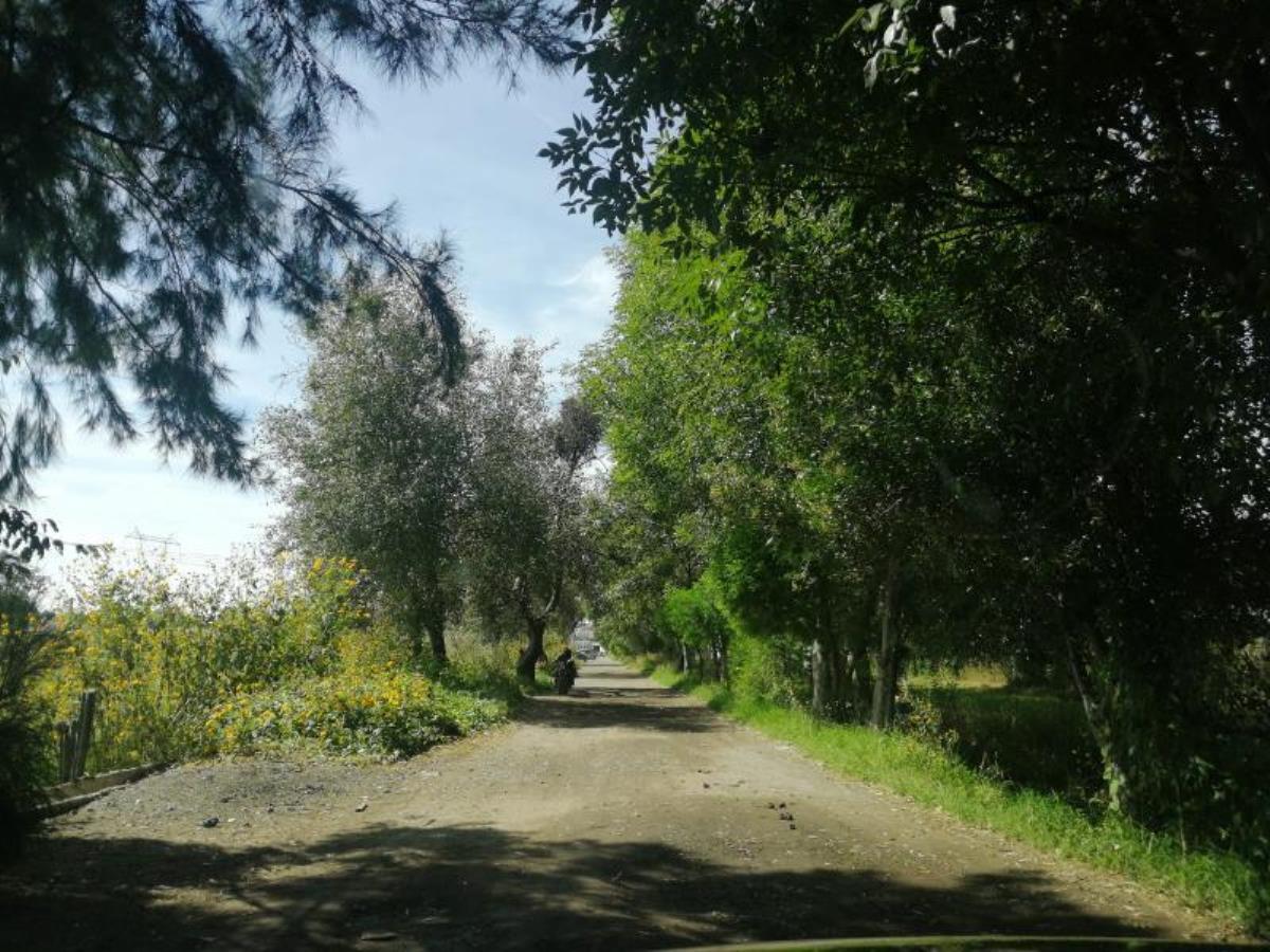 Terreno en venta en San Miguel Xoxtla, San Miguel Xoxtla — foto 1 de 4