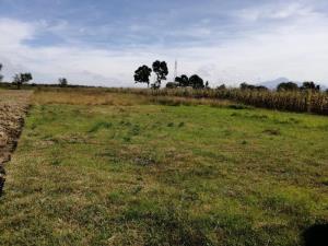 Terreno en venta en San Miguel Xoxtla, San Miguel Xoxtla — foto 3 de 4