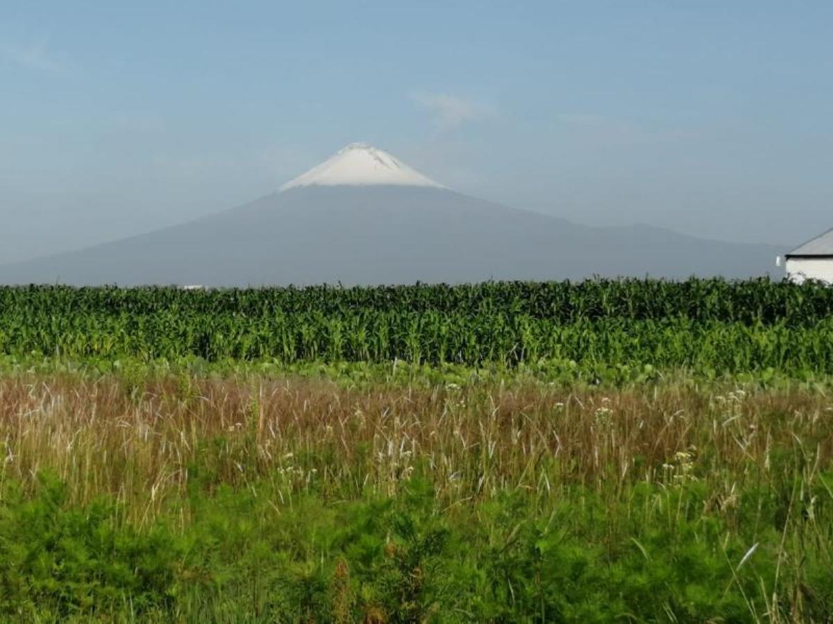 Terreno en venta en San Andrés, San Andrés Cholula — foto 1 de 14