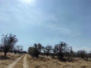 Terreno en venta en Real de Huejotzingo, Huejotzingo — foto 2 de 2