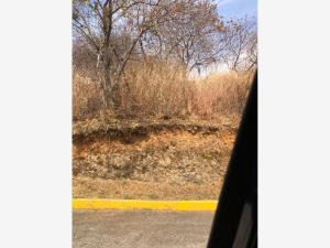 Terreno en venta en Lomas de Tzompantle, Cuernavaca — foto 3 de 9