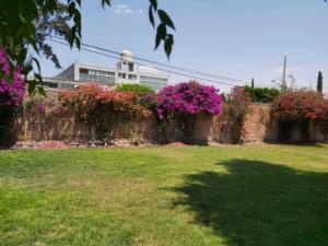 Quinta en venta en Benito Juárez, Actopan — foto 2 de 16