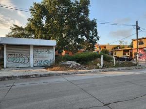 Terreno en venta en Alejandro Briones, Altamira — foto 2 de 4