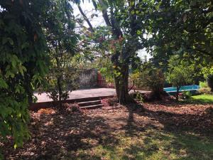 Casa en venta en Chiconcuac, Xochitepec — foto 3 de 43
