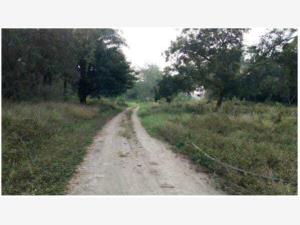 Finca-Rancho en venta en El Zacatal, Jamapa — foto 2 de 3