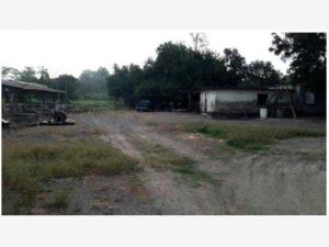 Finca-Rancho en venta en El Zacatal, Jamapa — foto 3 de 3