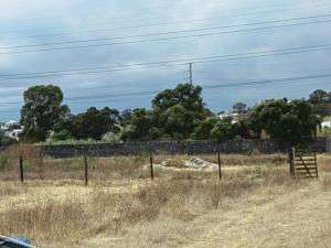 Terreno en renta en San Antonio Cacalotepec, San Andrés Cholula — foto 2 de 9