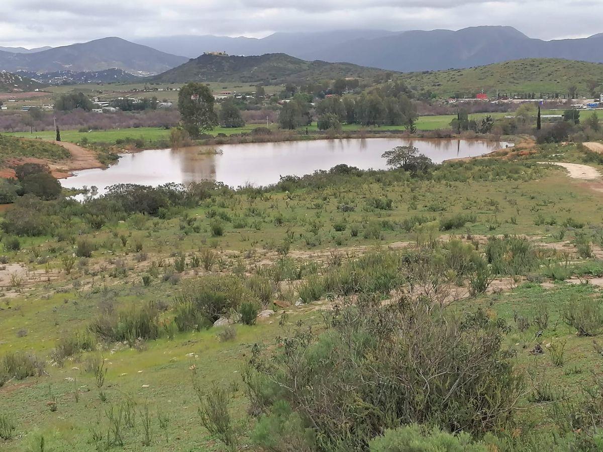 Terreno en venta en Francisco Zarco (Valle de Guadalupe), Ensenada — foto 1 de 5
