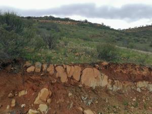 Terreno en venta en Francisco Zarco (Valle de Guadalupe), Ensenada — foto 2 de 5