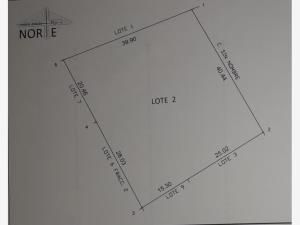 Terreno en venta en Carlos Real (San Carlos), Lerdo — foto 3 de 17