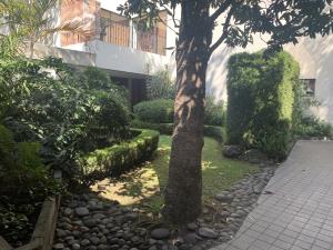Casa en venta en Chimalistac, Álvaro Obregón — foto 2 de 17