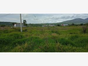 Terreno en venta en La Mintzita, Morelia — foto 3 de 9