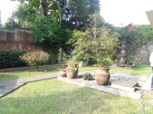 Casa en venta en Bosques de Palmira, Cuernavaca — foto 3 de 31