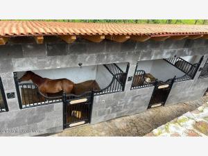 Terreno en venta en Valle de Bravo, Valle de Bravo — foto 3 de 20