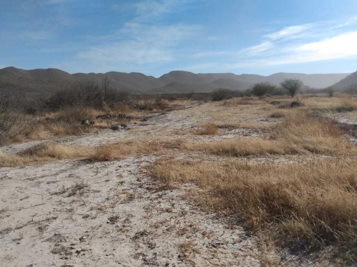 Terreno en venta en Parras de la Fuente Centro, Parras — foto 1 de 6