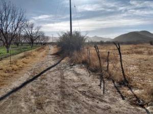 Terreno en venta en Parras de la Fuente Centro, Parras — foto 2 de 6